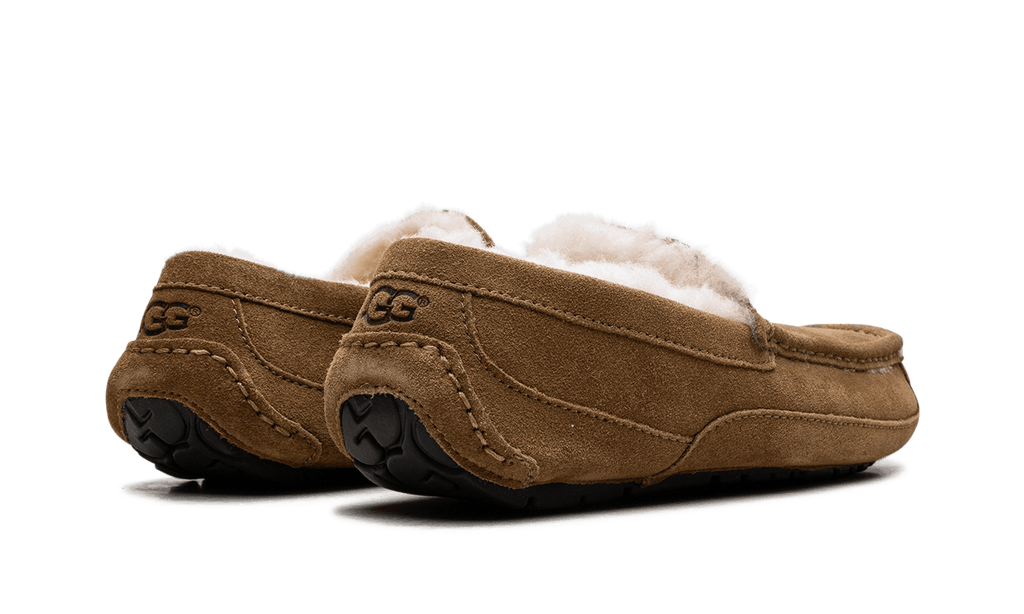 UGG MENS Australia Ascot Moccasin 1101110 CHE 1101110 CHE from Stadium Goods