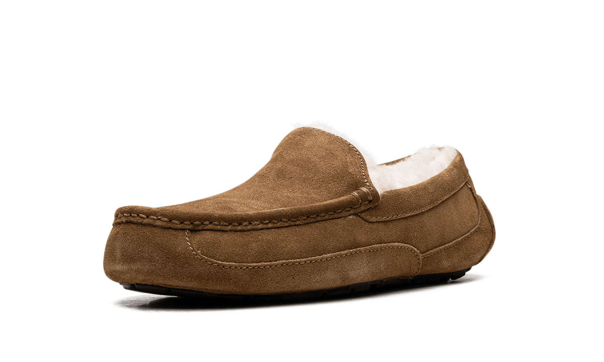 UGG MENS Australia Ascot Moccasin 1101110 CHE 1101110 CHE from Stadium Goods
